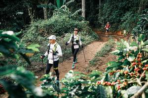 BIB: 
                            <button type="button" onclick="openModal(25856440)" class="btn btn-primary btn-sm float-right btn-popup" data-toggle="modal" data-target=".modal-high-quality">
                        <i class="fas fa-shopping-cart"></i> Add to Cart
                    </button>
                                            <button type="button" onclick="isThisMe(25856440, true)" class="btn btn-success btn-sm float-right btn-popup btn-isme hidden" data-toggle="tooltip" data-placement="bottom" title="นี่คือรูปของคุณใช่ไหม คลิกที่นี่เพื่อเอาเข้าอัลบั้ม">
                        <i class="fas fa-plus"></i> Add to album
                    </button>
                    <button type="button" onclick="isThisMe(25856440, false)" class="btn btn-warning btn-sm float-right btn-popup btn-isnotme hidden">
                        <i class="fas fa-ban"></i> Remove from album
                    </button>